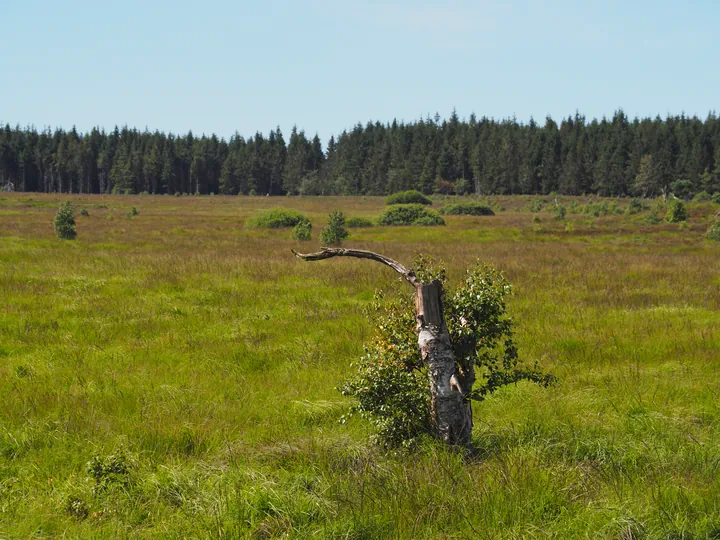 Signal de Botrange (Belgium)